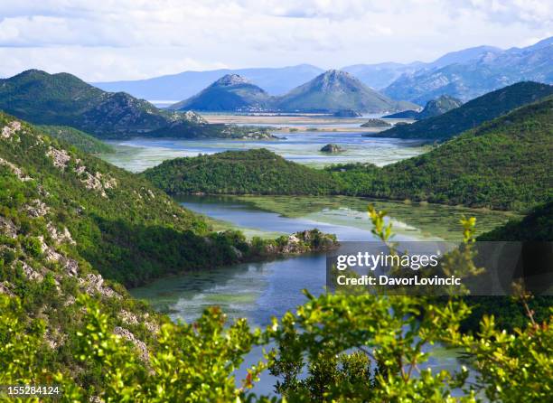 skadar lake - 蒙特內哥羅 個照片及圖片檔