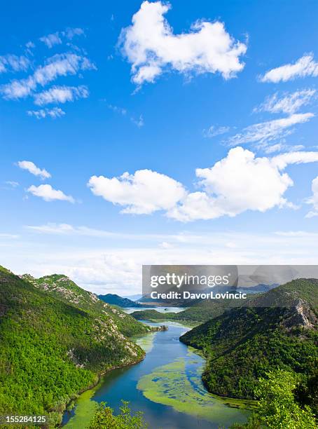 skadar lake - albania stock-fotos und bilder