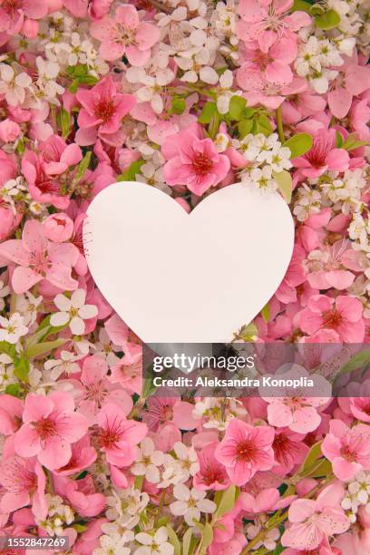 creative layout with empty heart shaped paper card mockup on full frame spring flowers background texture. close up of pink and white peach, cherry and apricot flowers with blank greeting card, invitation template. - computer wedding stock pictures, royalty-free photos & images