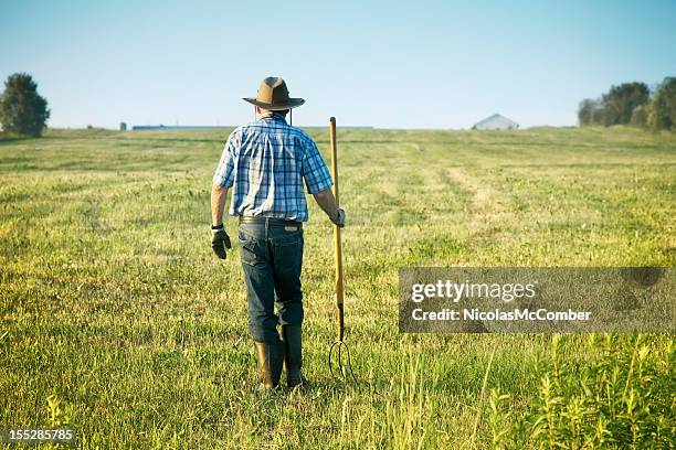 senior farmer walking in his field rear view - eastern townships quebec stock pictures, royalty-free photos & images
