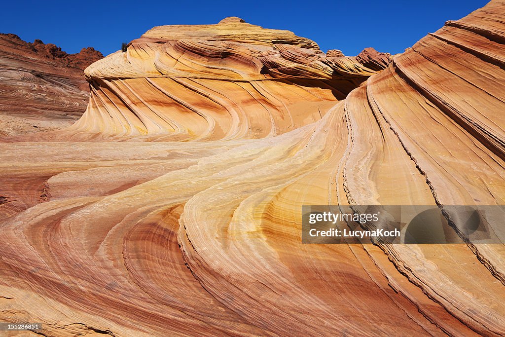 Coyote Buttes with Swirling Shapes