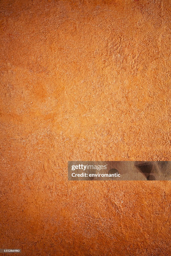 Terracotta background.