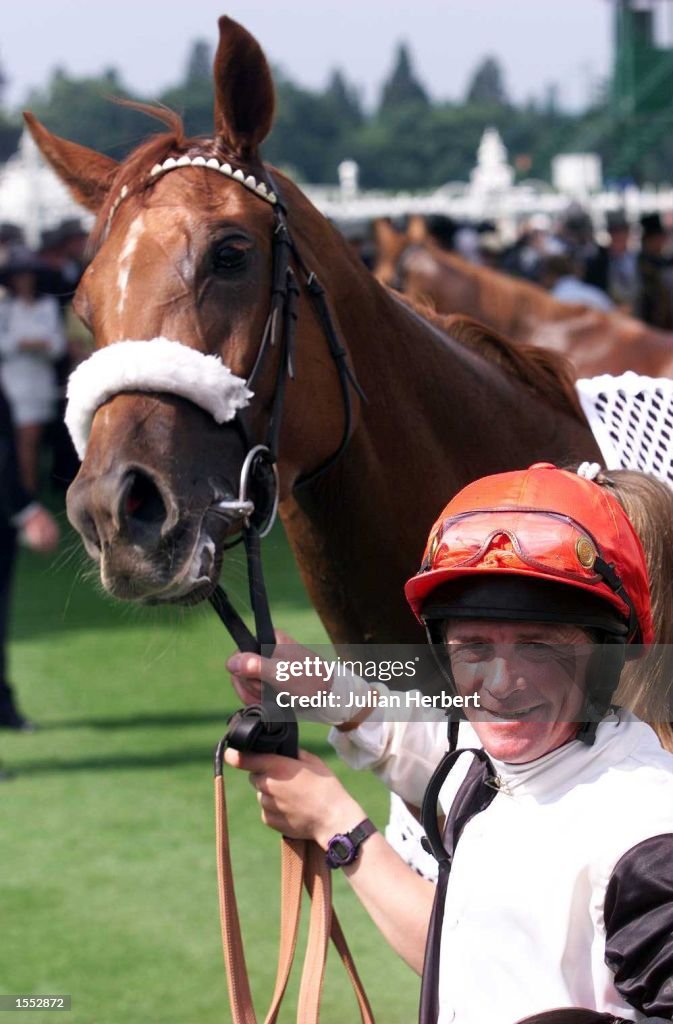 Ascot Racing X