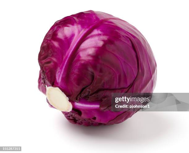 a whole red cabbage against a white background - red cabbage stock pictures, royalty-free photos & images