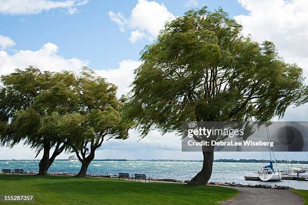 windy day on the lake ontario - kingston stock pictures, royalty-free photos & images