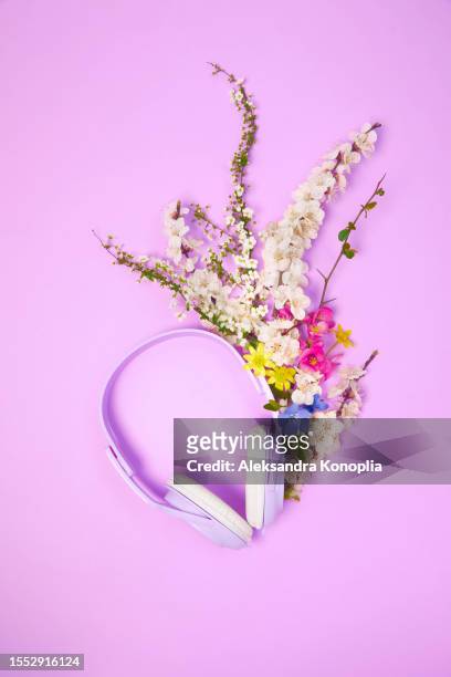 wireless headphones with composition of with colorful spring, summer flowers on lavender purple background. - listening party imagens e fotografias de stock