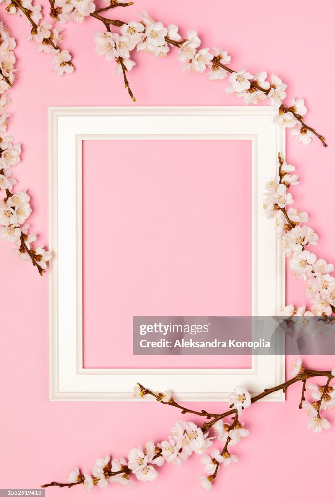 Empty photo frame, apricot flowers on pastel pink background. Spring concept.