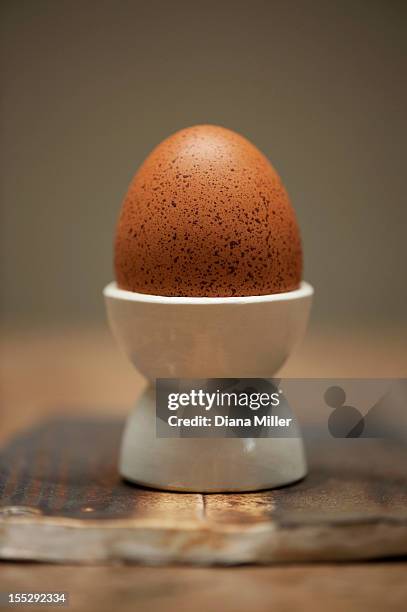 close up of egg in egg cup - eierbecher stock-fotos und bilder