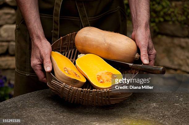 man with basket of butternut squash - squash seeds bildbanksfoton och bilder