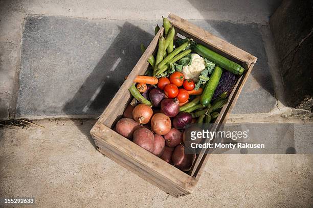 basket of organic vegetables - holzkiste stock-fotos und bilder