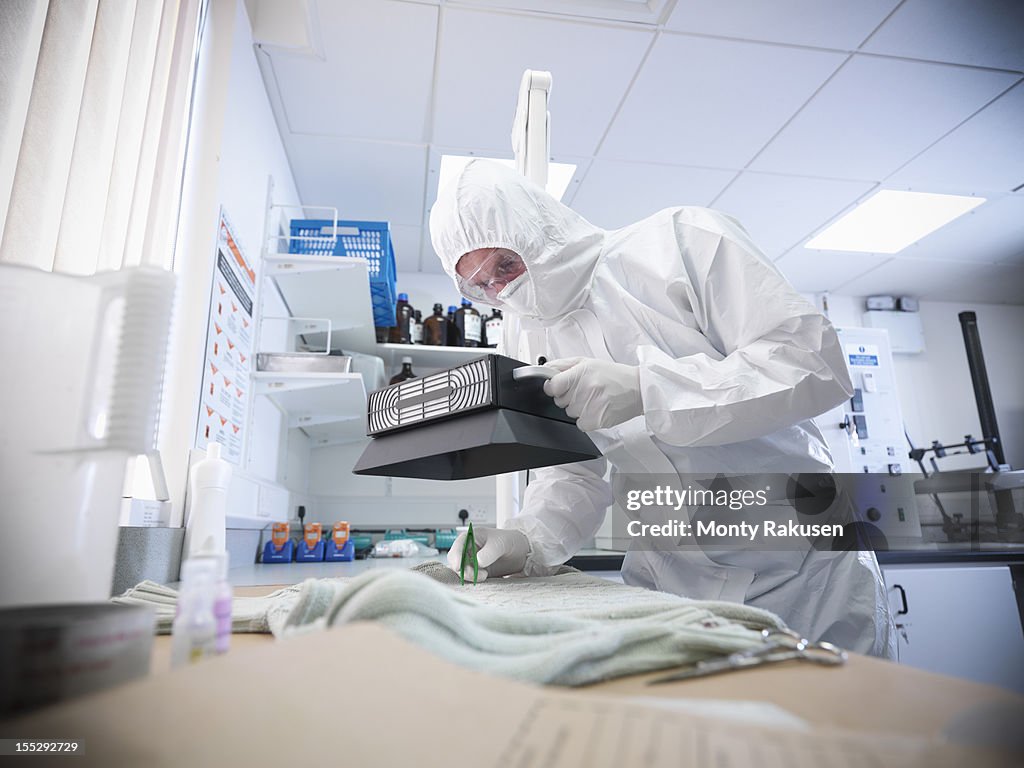Forensic scientist taking blood sample from clothing in laboratory