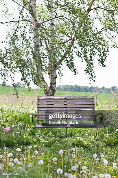 a wooden bench in a field - holzbank stock-fotos und bilder