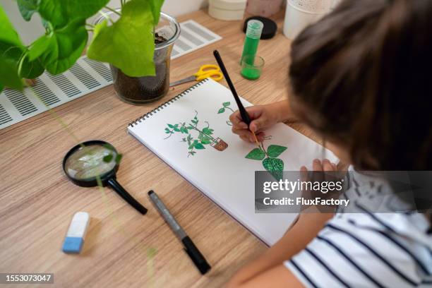 blick aus der vogelperspektive, von, kaukasisches mädchen, erziehen durch kreative weise über botanik - legumes aquarelle stock-fotos und bilder