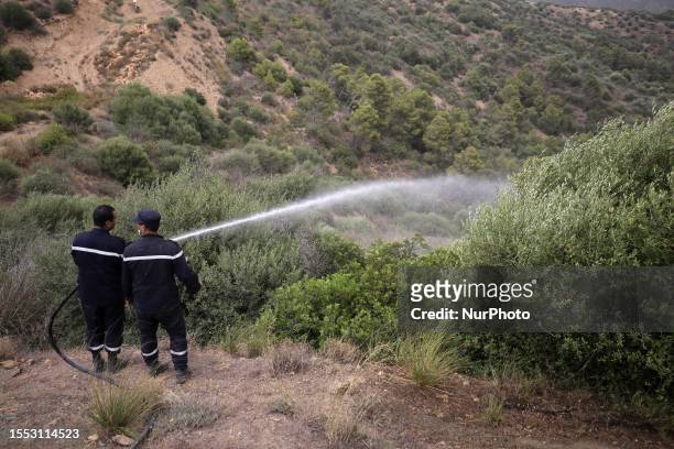 Forest fire burns near the village of Zberber, Bouira province in the mountainous Kabyle region, Algeria, 24 July 2023. The Algerian Ministry of the...