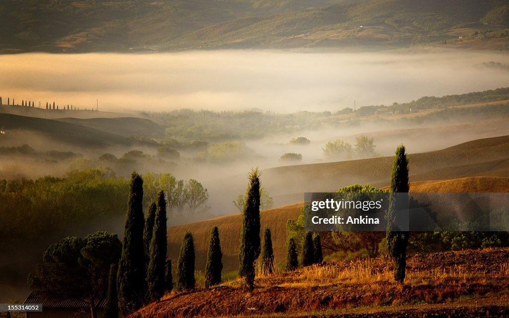 A valley