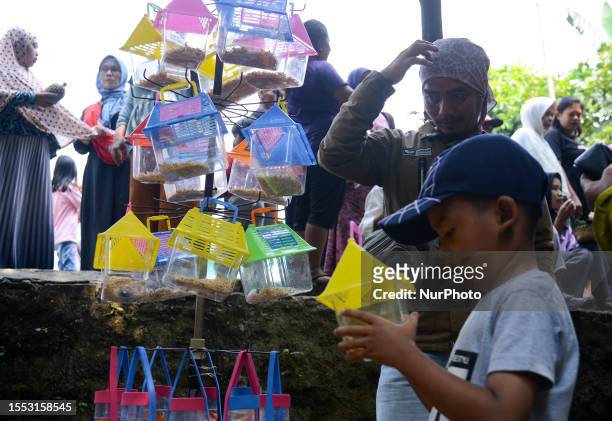 Boy holds up a cage with a baby hamster in Bogor, West Java, Indonesia on July 23, 2023.