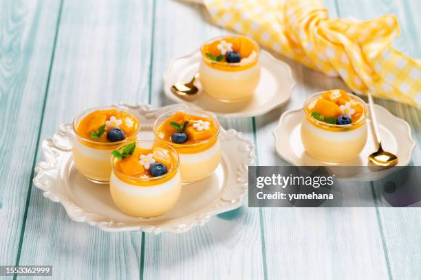 mango-mousse mit frischer mango und mangopüree - gelatine stock-fotos und bilder