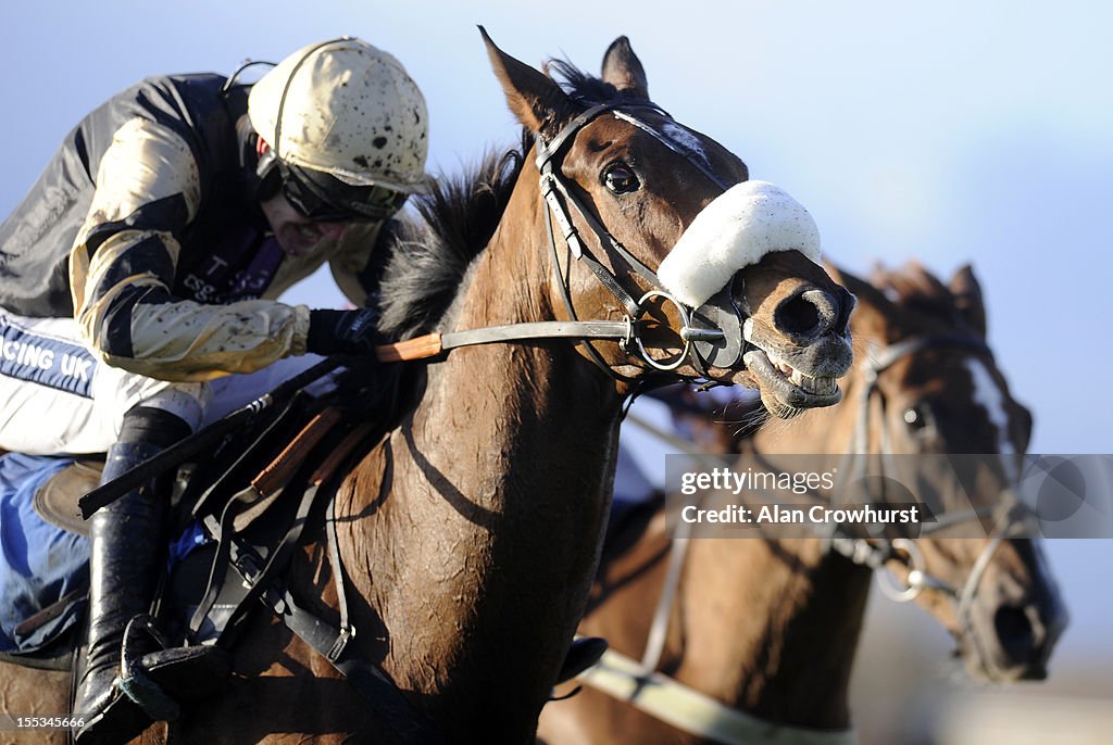 Wetherby Races