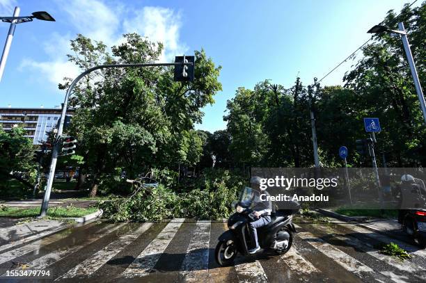 Man rides his bike next to a road blocked by fallen trees as heavy rain and wind cause damages in Milan, Italy on July 25, 2023. While high...