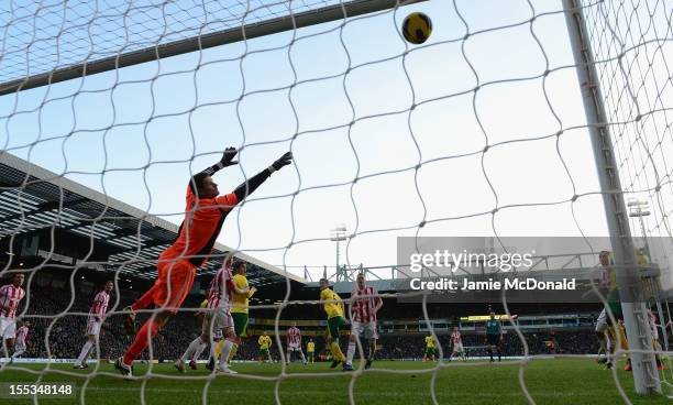 Asmir Begovic of Stoke City fails so msave the goal from Bradley Johnson of Norwich City during the Barclays Premier League match between Norwich...