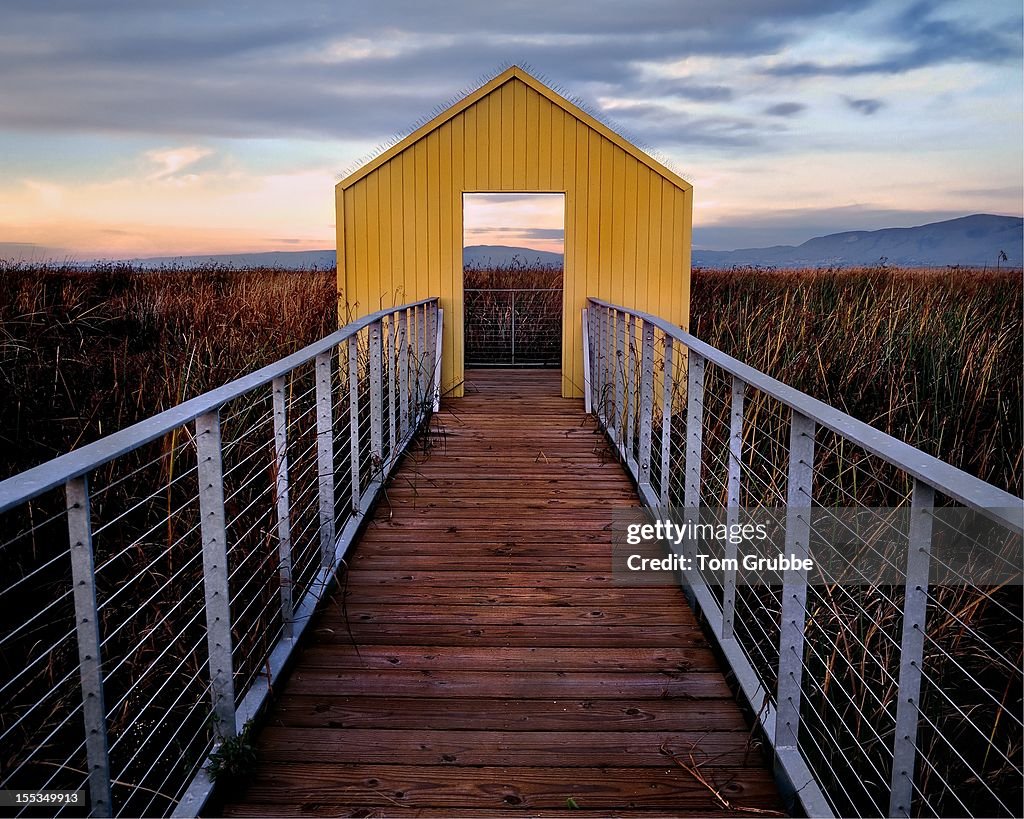 Wooden pier in grass