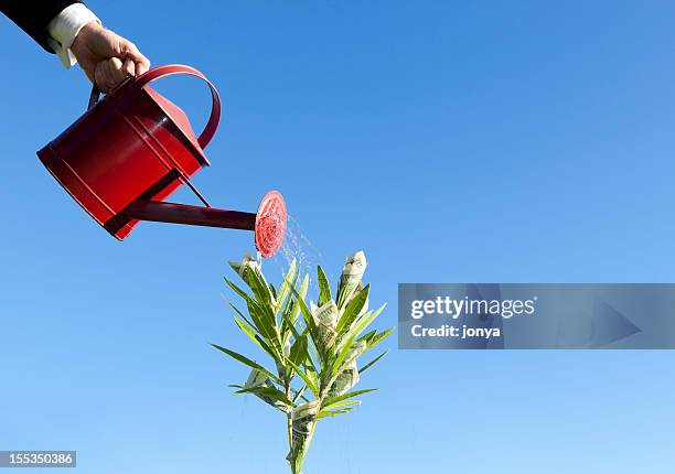 watering money growing on plant - strooisels stockfoto's en -beelden