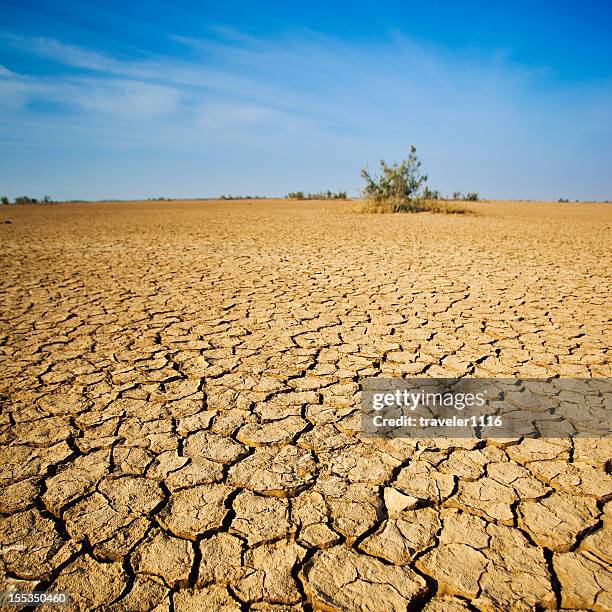 砂漠の西インド - 乾燥気候 ストックフォトと画像