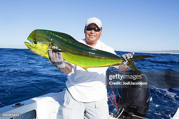 grande magi mahdi pescate dai pescatori - lampuga foto e immagini stock