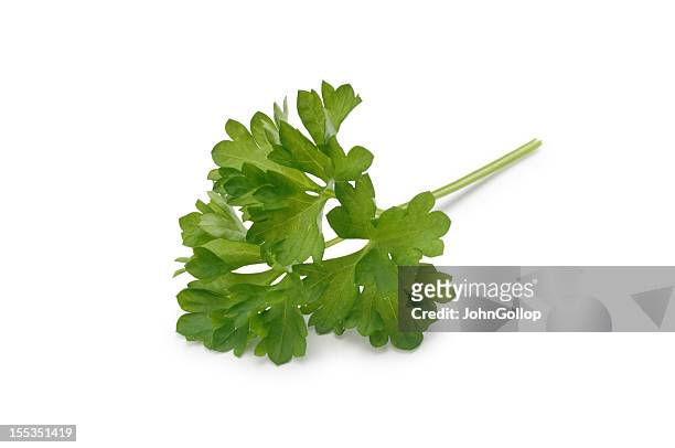 parsley - curly parsley stock pictures, royalty-free photos & images