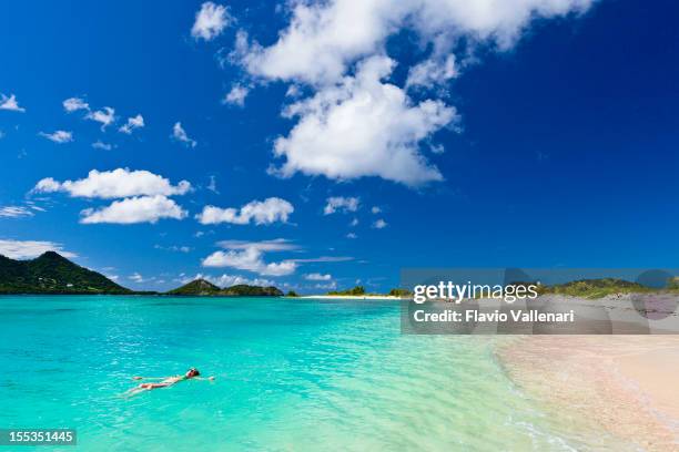 clear waters at sandy island - grenada - karibien bildbanksfoton och bilder