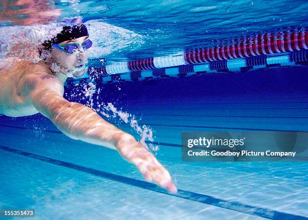 young man swimming in a swimming pool - swimming free style pool stockfoto's en -beelden