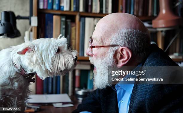 senior adulto homem com o seu cão - west highland white terrier imagens e fotografias de stock