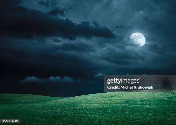 hilly meadow de nuit avec la pleine lune, nuages et l'herbe - chair de poule photos et images de collection