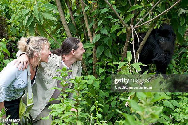 coppia turistica accanto a un juvenile gorilla di montagna, animali scatto - mountain gorilla foto e immagini stock