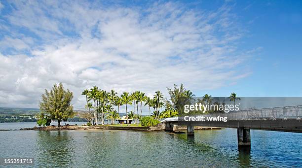 hilo coconut island - hilo stock pictures, royalty-free photos & images