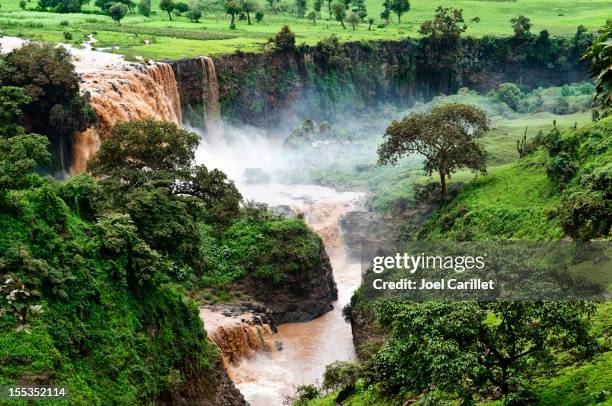 blue nile falls in tis abay, ethiopia - abay river stock pictures, royalty-free photos & images