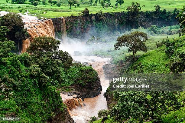 blue nile falls in tis abay, ethiopia - ethiopia bildbanksfoton och bilder