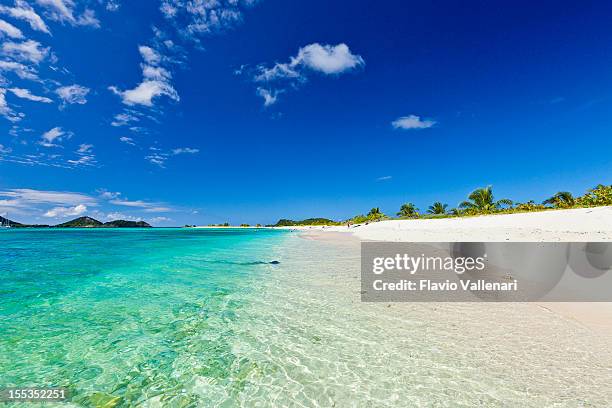 sandy island, grenada - insel grenada stock-fotos und bilder