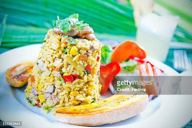 arroz-con-pollo, a tradtional latin american and costa rican meal - costa rica stock pictures, royalty-free photos & images
