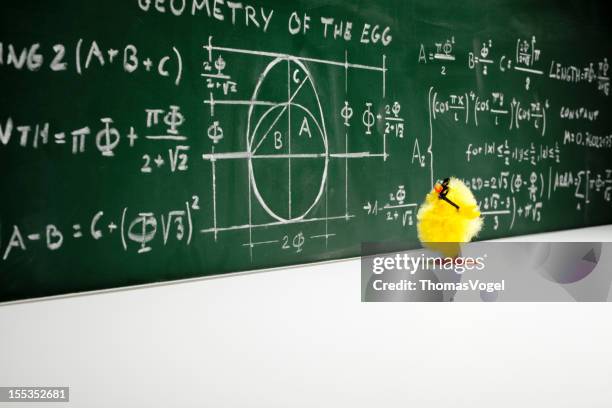 mathematician - nerd  easter chick chicken humor fun mathematics education - easter and humour stockfoto's en -beelden