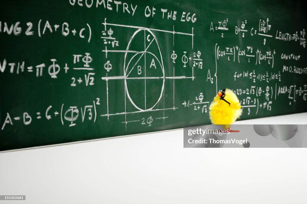 Mathematician - Nerd  Easter Chick Chicken Humor Fun Mathematics Education