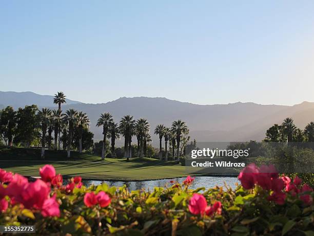 fantástica verde campo de golfe no deserto de palm springs - palm springs california imagens e fotografias de stock