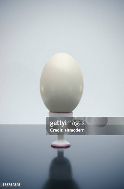 big egg - big cook stock pictures, royalty-free photos & images