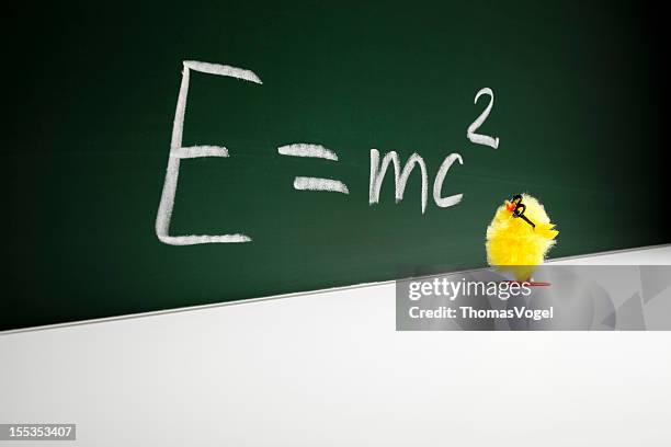 nerd easter chick chicken humor fun mathematics education - maths fun stock pictures, royalty-free photos & images