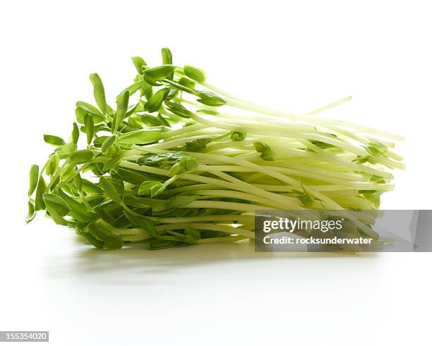 pea sprouts - sojabohnensprosse stock-fotos und bilder