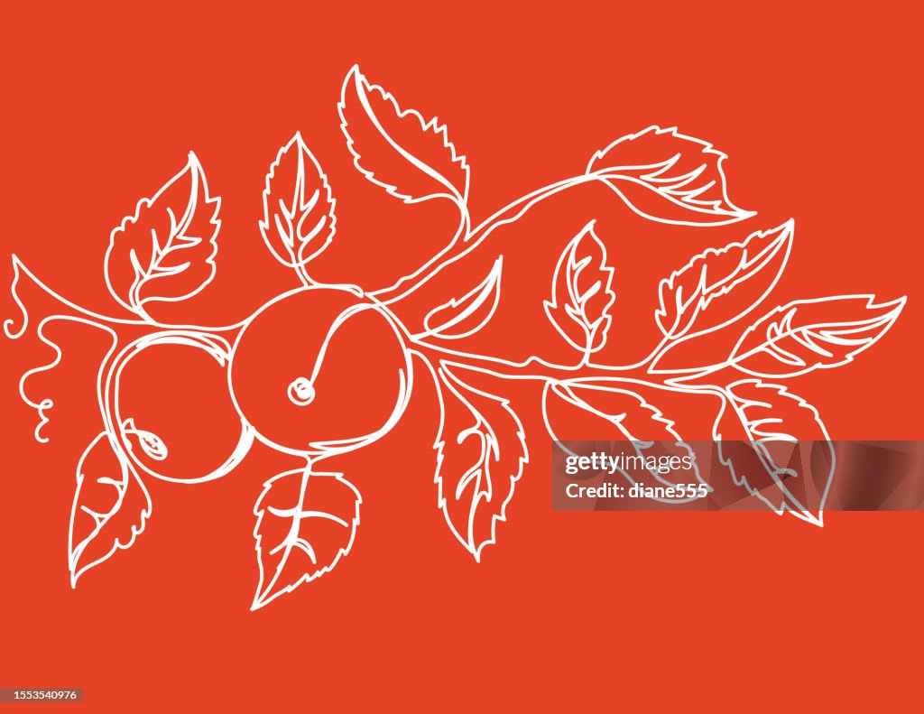 Continuous Line Drawing Of An Apple Tree Branch