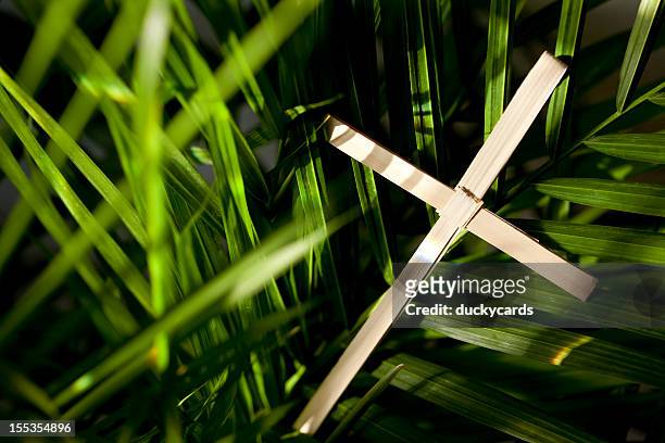 palm cross and leaves - palm sunday stock pictures, royalty-free photos & images