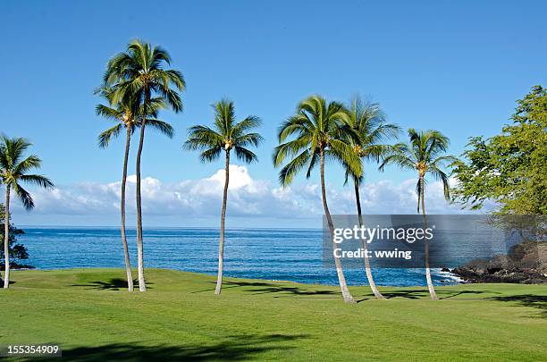hawaii oceanside golf fairway - het grote eiland hawaï eilanden stockfoto's en -beelden