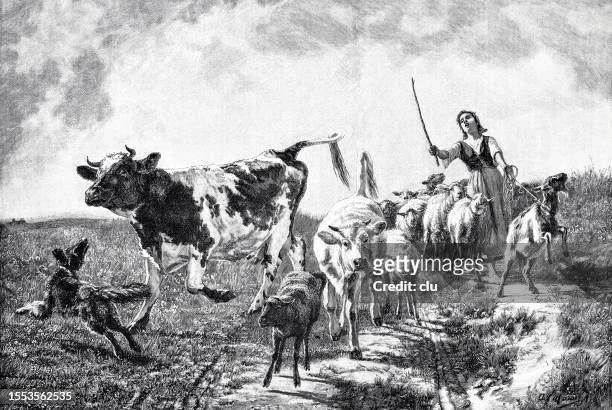 return of the farmer’s wife with a cow, goats and dog - farmer wife stock illustrations