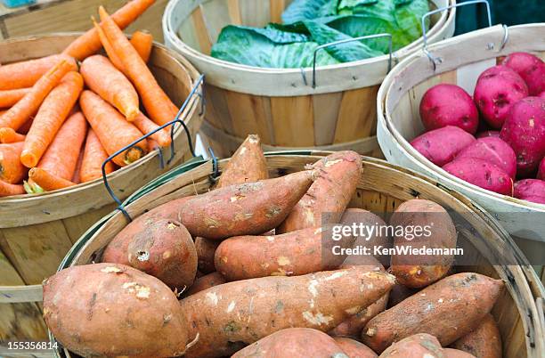 verdure d'inverno - winter vegetables foto e immagini stock